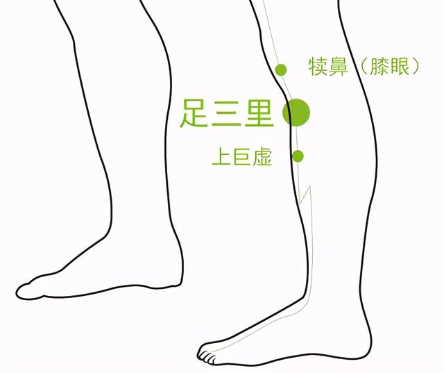 拒绝再当“拉拉队”，来做慢性腹泻终结者吧