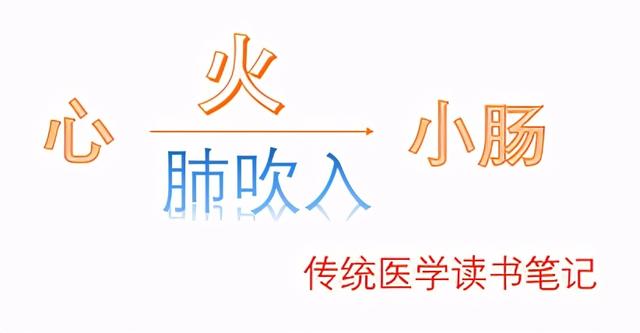 中医说小肠是人的生命中枢？脉随四季变，新病久病气色看