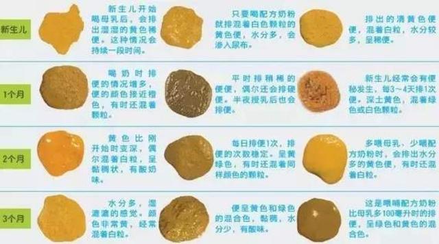 你的育儿经■自从有了宝宝，我便成了“闻屎”专家