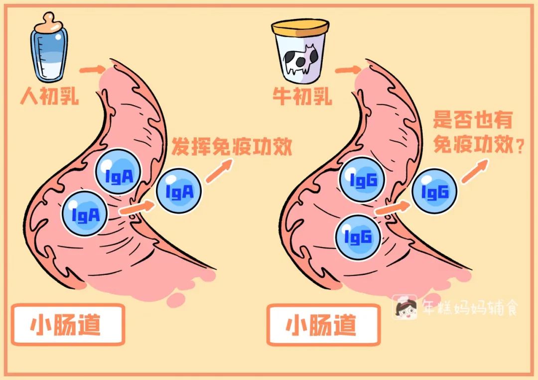 暖先生格调■它早就被禁止添加到婴幼儿奶粉里，你却还在给娃吃？