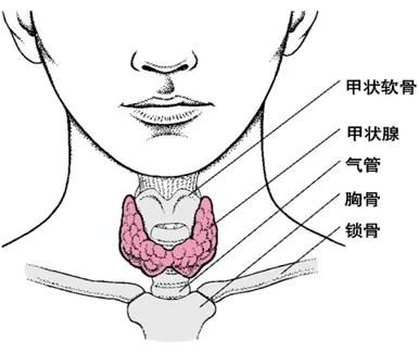 6种常见纵隔肿瘤的影像解读与鉴别要点，一文击破