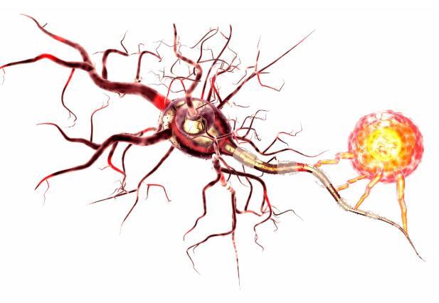 警惕癌从口入！这四类家常菜，多吃一口，离癌细胞可能更进一步