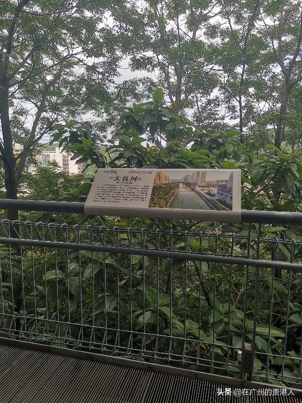 【山楂味的诗】走马观花，看顺德大良。