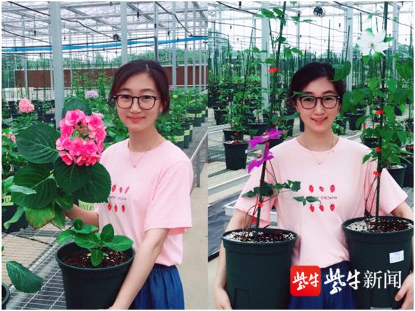 东洲|“90后”花房姑娘，返乡创业种出“致富花”