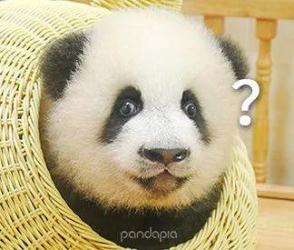 超级宝妈▲小朋友，你是否有很多问号？