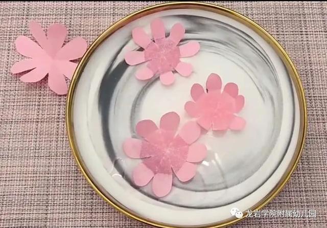 你的育儿经@「家园共育」防疫在家，我们也能玩中学——龙岩学院附属幼儿园家园共育活动（第十期）
