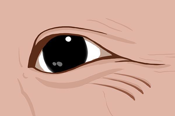 #你的育儿经#女性体内缺乏黄体酮，身体会出现哪些变化？