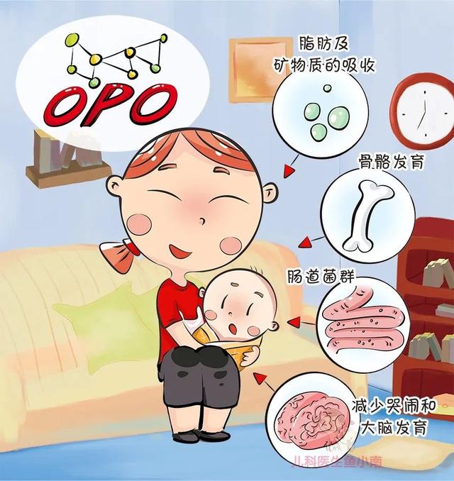 [超级宝妈]选奶粉，先学会看标签，超详细专有名词解读让你一文读懂