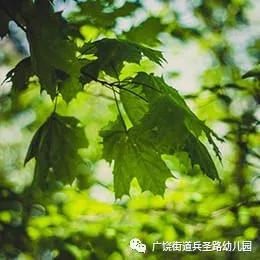 #你的育儿经#【兵幼.云时光】——“五个一”居家防疫亲子活动指南⑩
