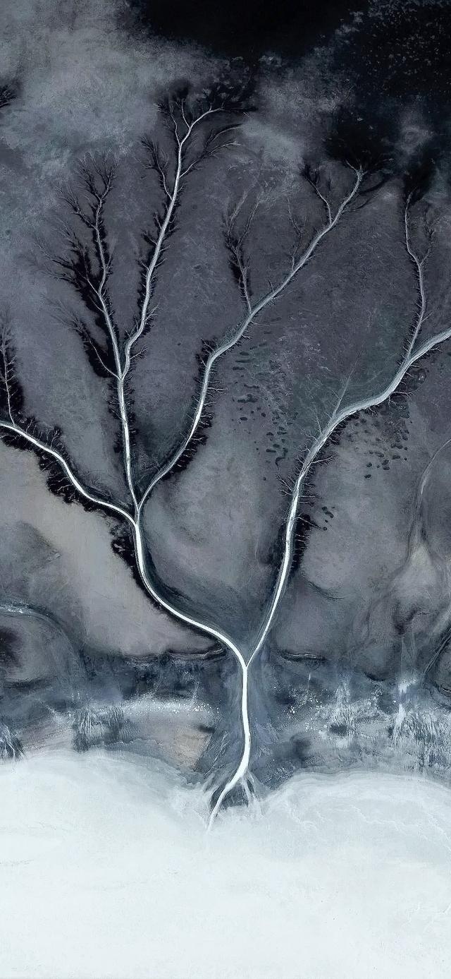 高清，OPPO的这组壁纸，被称为最有艺术感的壁纸