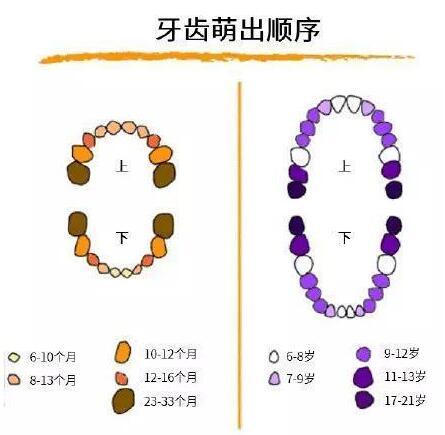 送给孩子正在换牙的父母们，你们一直都做错了什么？