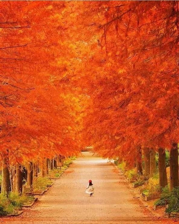 把这10个气质传给孩子，胜过10栋房子