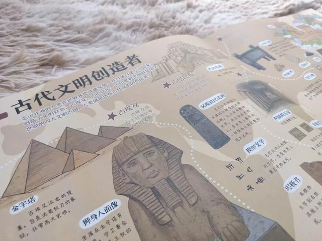 你的育儿经@教孩子，好奇心比知识更重要（中小学生家长必读）