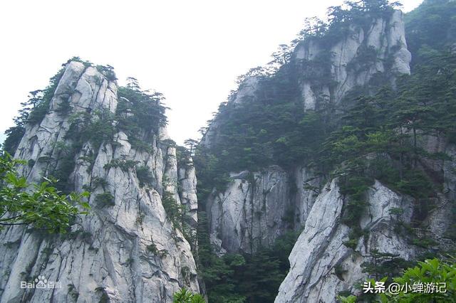 『世界那么大』金寨天堂寨-云雾缭绕、俊峰林立、群瀑飘逸华东最后一片原始森林