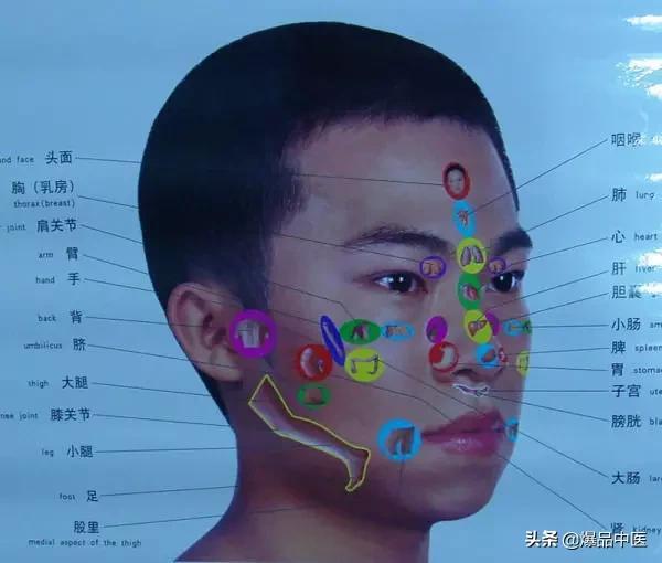 全身穴位治疗口诀大全，配图精华版