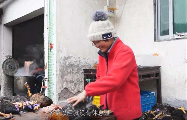 风鸡|口水ing！诸暨章阿姨做的毛腌风鸡，两个月卖掉1万多只，一定很香很好吃吧