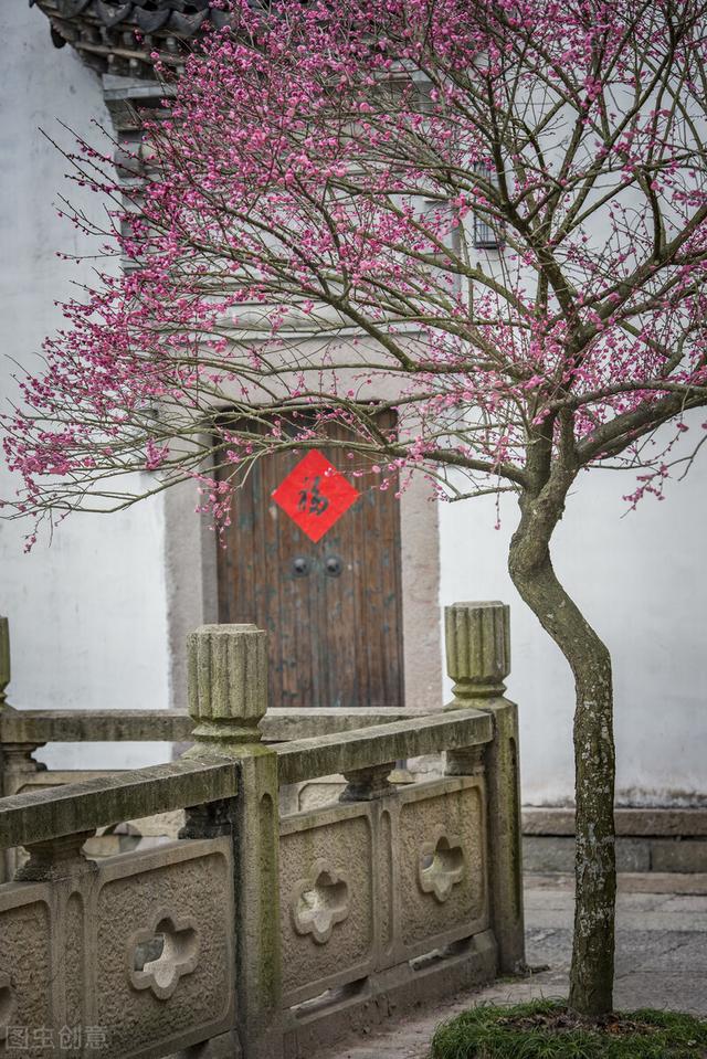 有人称它为“霉运花”，却不知它也叫“五福花”，寓意很好