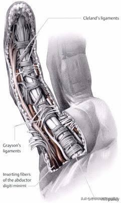 关节囊|打篮球手指受伤养半年还肿痛，拍片骨头没事，应该手术还是康复呢
