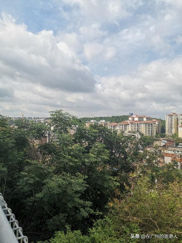 【山楂味的诗】走马观花，看顺德大良。