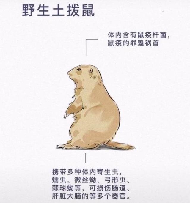 你的育儿经@理性一点，如何教育孩子正确认识小动物