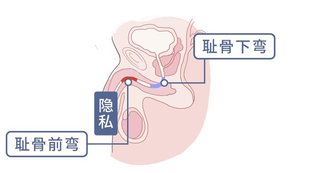 正常情况下，男人应该站着尿还是坐着尿？不尿到马桶外很难吗？