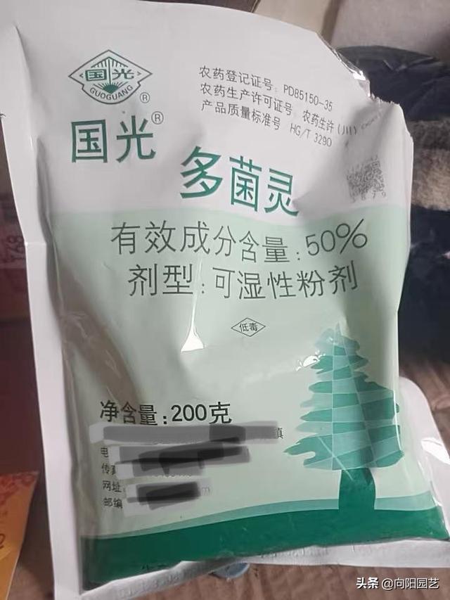 养多肉，必备“3种杀菌药”，学习使用方法，告别病菌，虫害