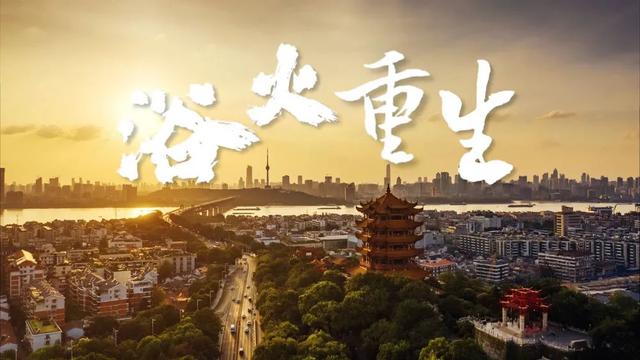 统筹|这个“V”字，走得荡气回肠