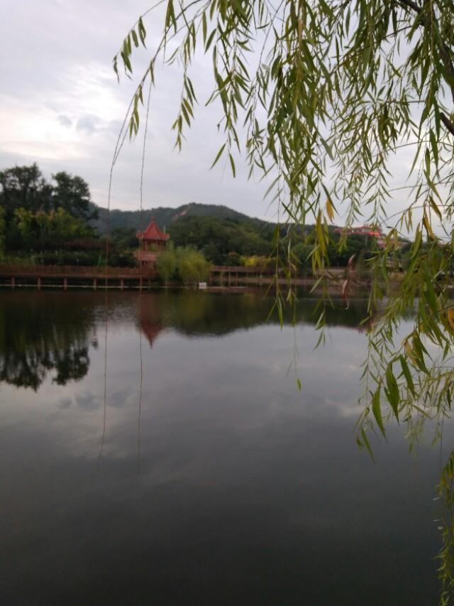 秋山秋雨情更浓