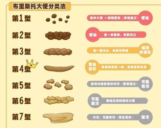 大便|如何淡定、优雅地接受大便常规检查？“有