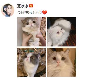 有情况?范冰冰520晒照配文加爱心 被网友讨自拍东北网