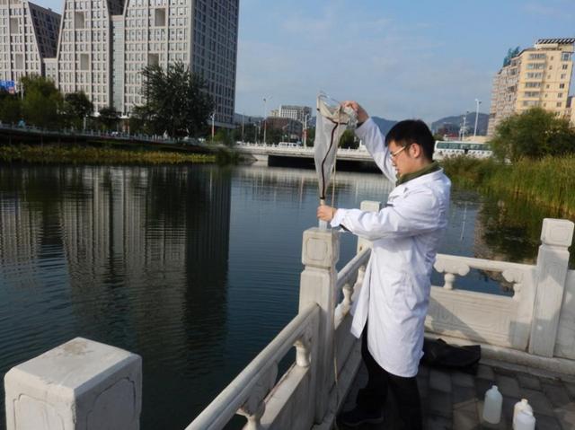 #北京日报客户端#北京水生态“体检报告”出炉,北运河通惠河告别“亚健康”