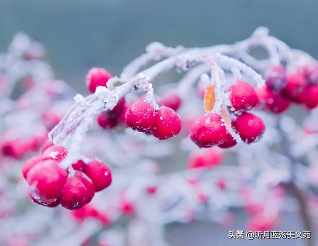 有一种幸福，是想你依旧，念你如初