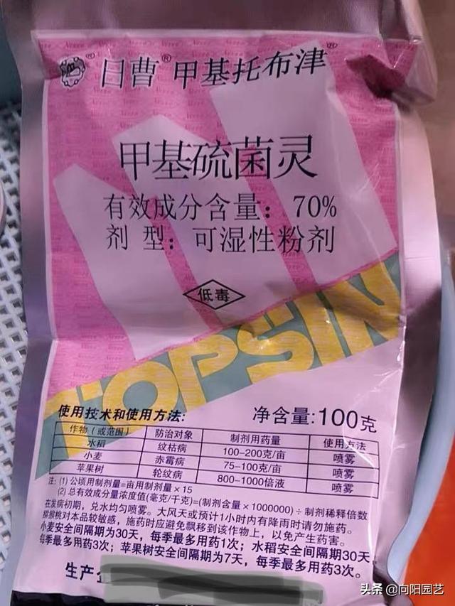 养多肉，必备“3种杀菌药”，学习使用方法，告别病菌，虫害