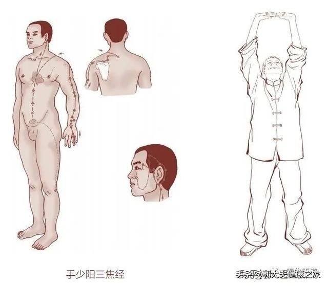 掌握好十二时辰养生法，包你神清气爽，身体倍儿棒！