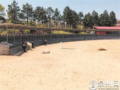 『福建闽南网』旅游行业遇冷 泉州景区携手共渡难关练好内功迎客