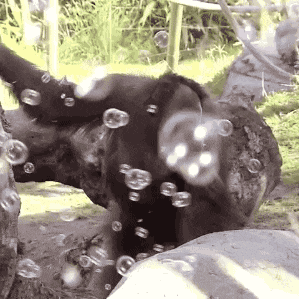 搞笑gif:为了吃鸡,发明了一个超20倍镜,真香