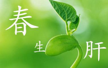 人体|春季最适合养肝 饮食上宜温补