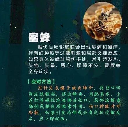 [光明网]高烧不退，严重可致命！青岛又有孩子中招！这个“小黑点”千万别大意