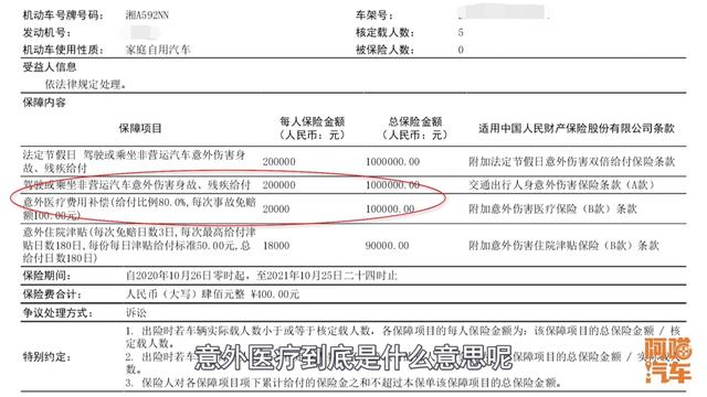 200多万的座位险，实际能赔多少？喵哥算给你看，都是套路呀