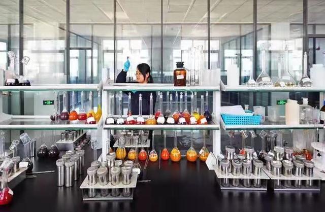 人才|蓬莱区北沟镇：以人才为“杠杆”撬动高质量发展