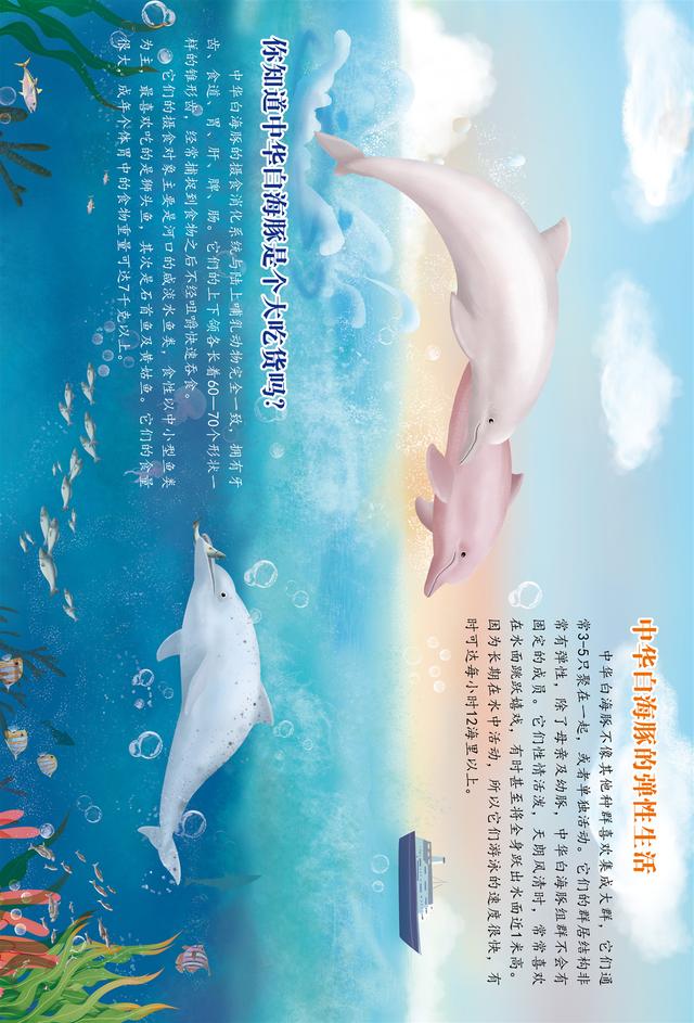你的育儿经▲绘本 | 中华白海豚小科普