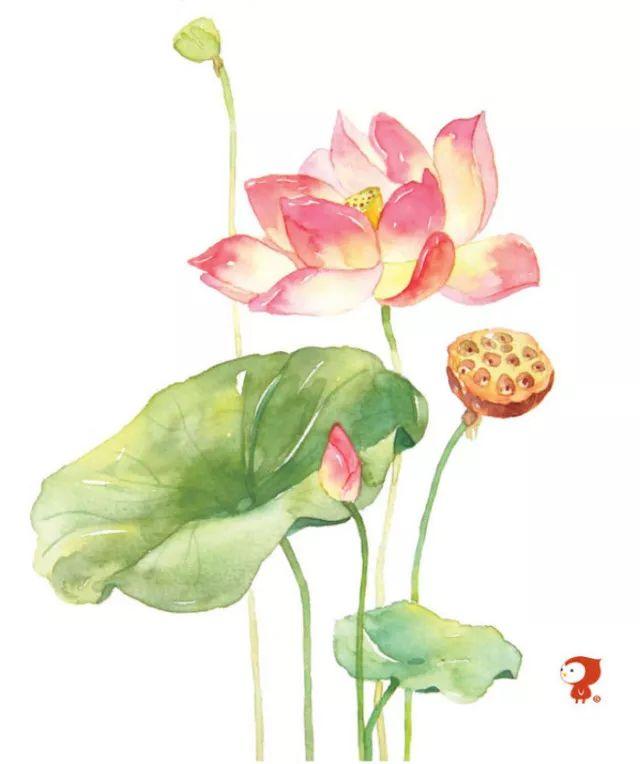 老鹰捉小鸡|幼小衔接 | 十分准备 十份收获