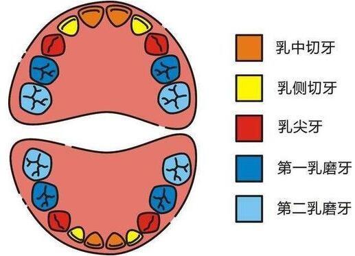 送给孩子正在换牙的父母们，你们一直都做错了什么？