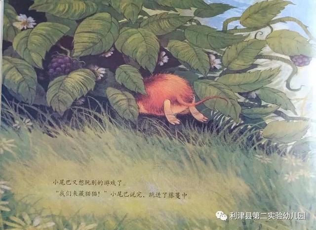 你的育儿经▲小班绘本推荐《一直爱你，永远爱你》