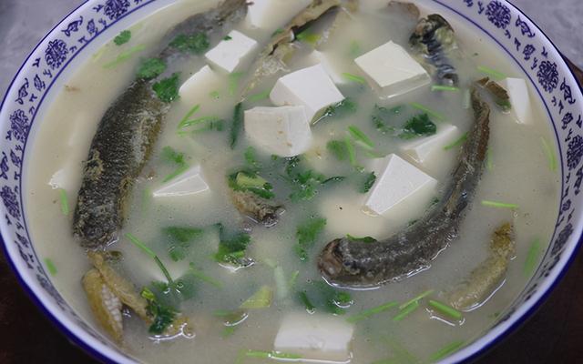 冬季天冷，教你一道营养汤，泥鳅炖豆腐，汤汁浓白，肉质鲜嫩