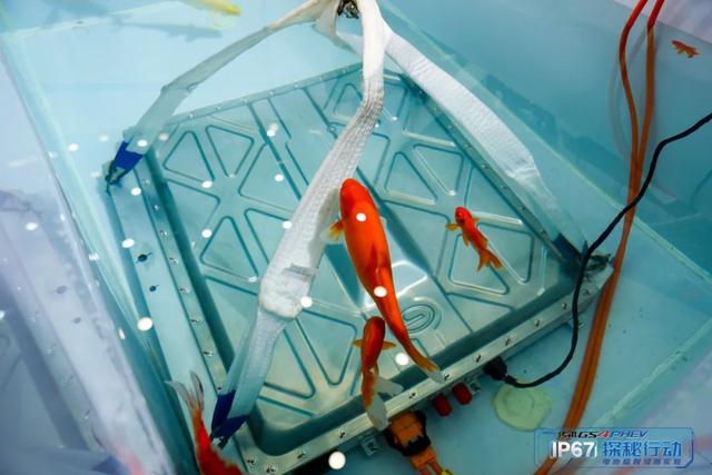 「我有玛莎拉蒂」泡水40分钟，广汽传祺GS4 PHEV电池极限测试