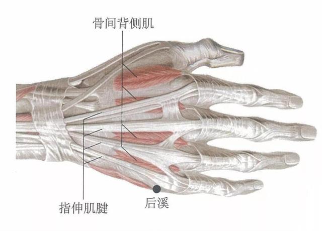 12输穴、对付全身的疼痛，很简单，几分钟就学会