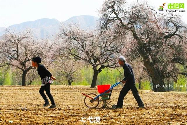 旅行百事通:甘肃有座小城,丹霞中的杏花村,被称为全国奇观!却少有游人