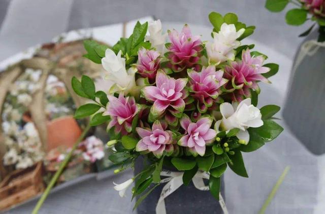 就是一块“姜”，生根发芽却开出了花，太像“荷花”了