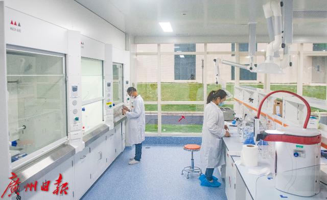 上市|生物医药创新“百花齐放”，去年40个药品上市